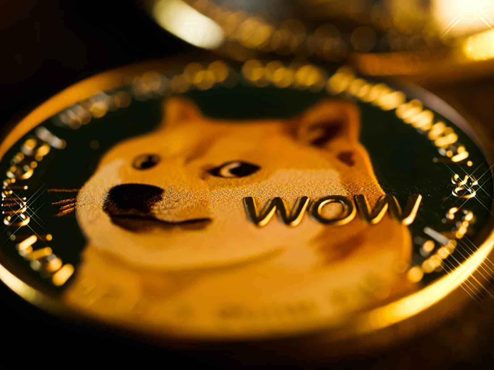 Close-up photo of a Dogecoin coin highlighting the 'WOW' text and Shiba Inu image.